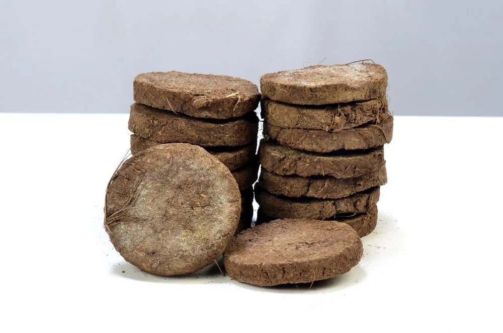 Organic Cow Dung Cakes 5 inch, 1 inch thick (1 piece)