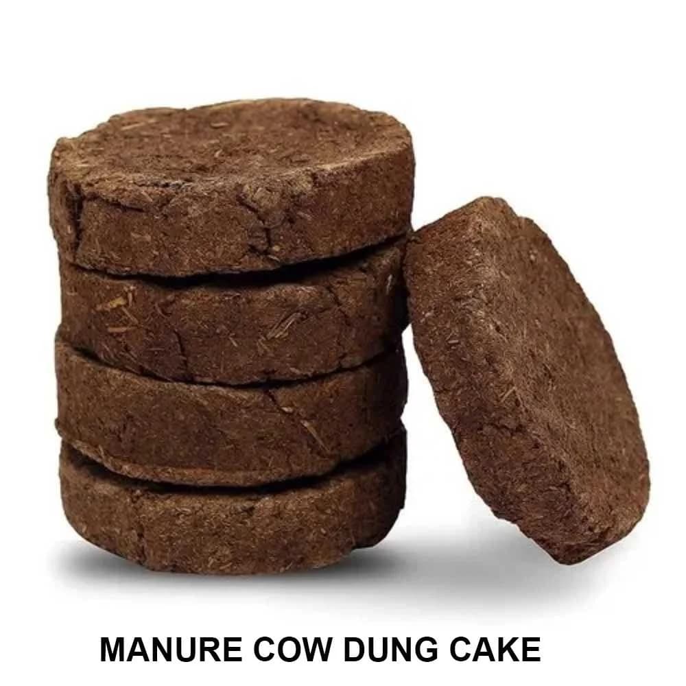 Cow Dung Cake for Manure and Fuel (1 piece)