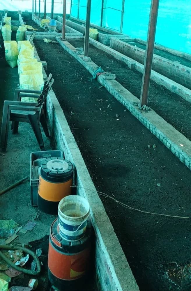 Organic Fertilizers