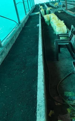 Organic Vermicompost Fertilizer